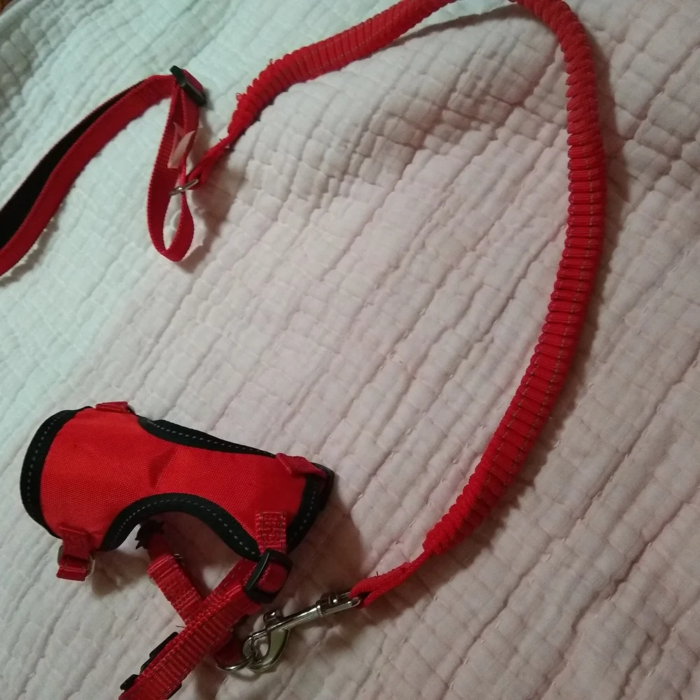 Red Cat Harness and Leash Set